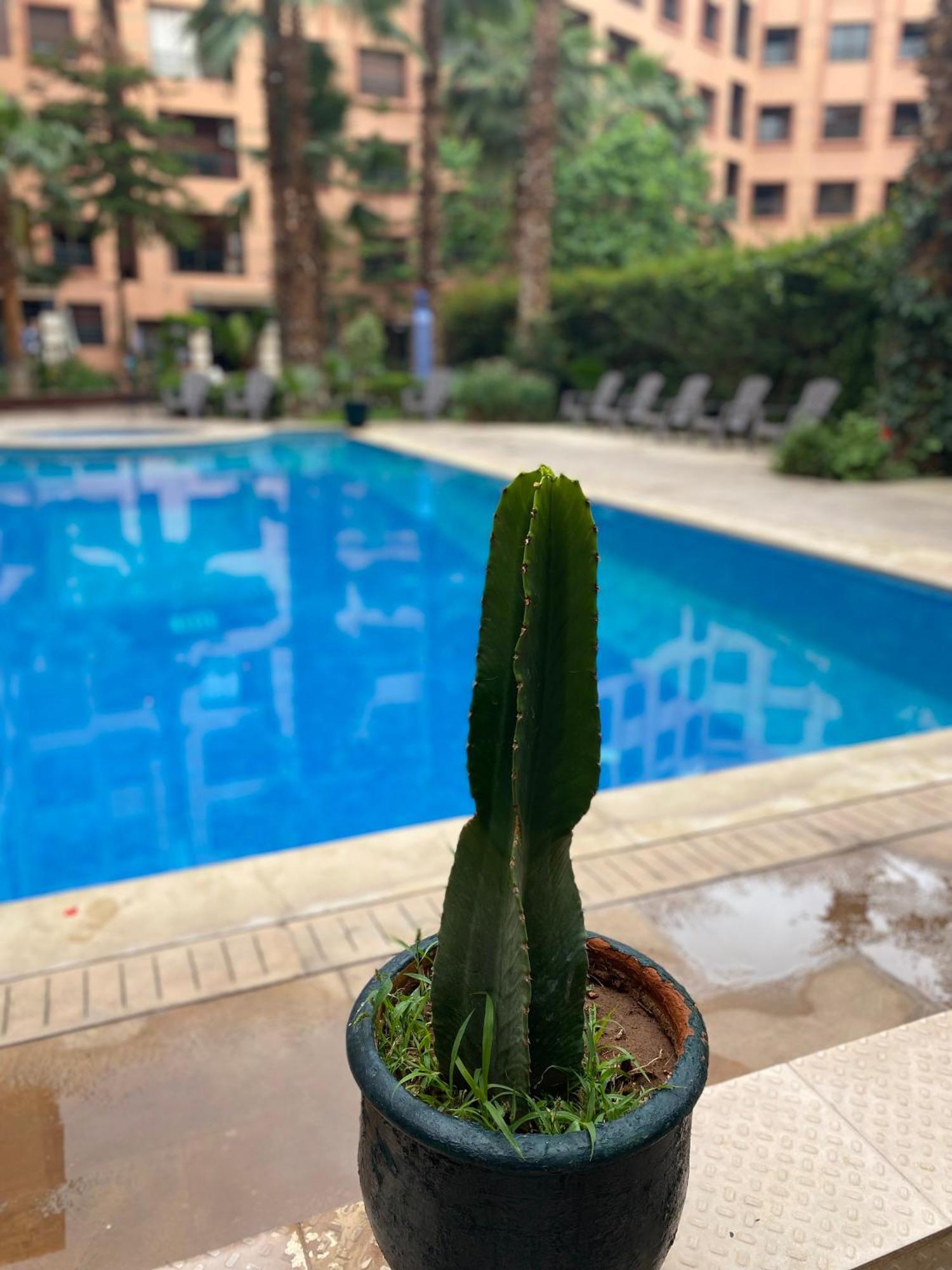 Residence Caprice Palace Hivernage Marrakesh Buitenkant foto